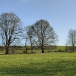 Week-end printanier : ciel voilé mais soleil et douceur au rendez-vous - RTBF Actus