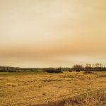 illustration agrandir l