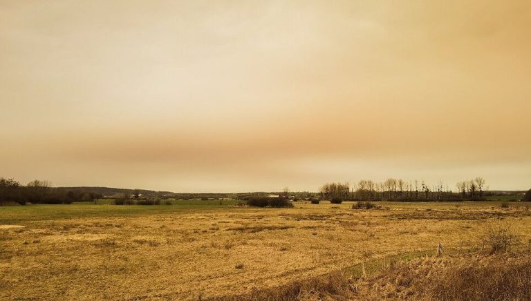 illustration agrandir l