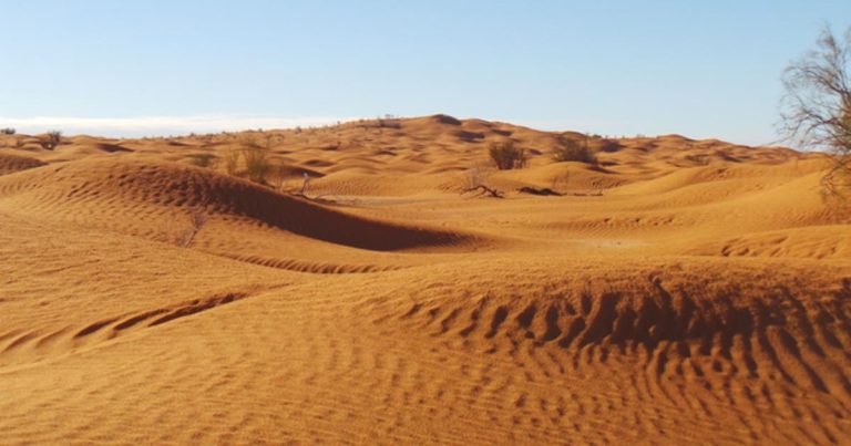 Poussières du Sahara : impacts sur la météo et les phénomènes climatiques
