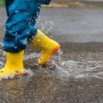 illustration agrandir l