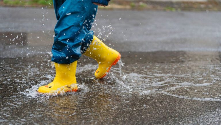 illustration agrandir l