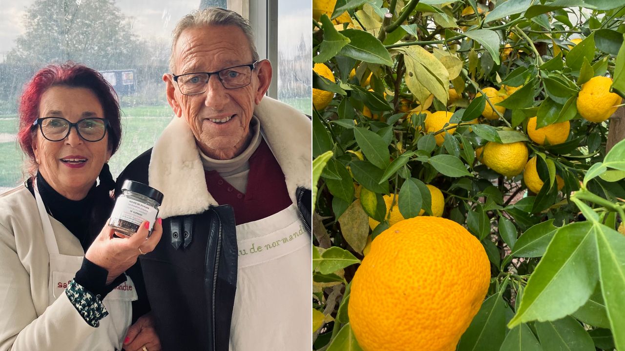 illustration agrandir l'image