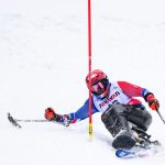 illustration agrandir l