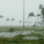 Le marché des obligations catastrophes atteint une profondeur record en 2023