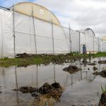 Champs impraticables et retards de semis : la pluie impacte les agriculteurs d'Occitanie