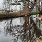 Ouverture de la pêche à la truite : "on a de plus en plus de jeunes", se réjouit la fédération du Haut-Rhin - ICI