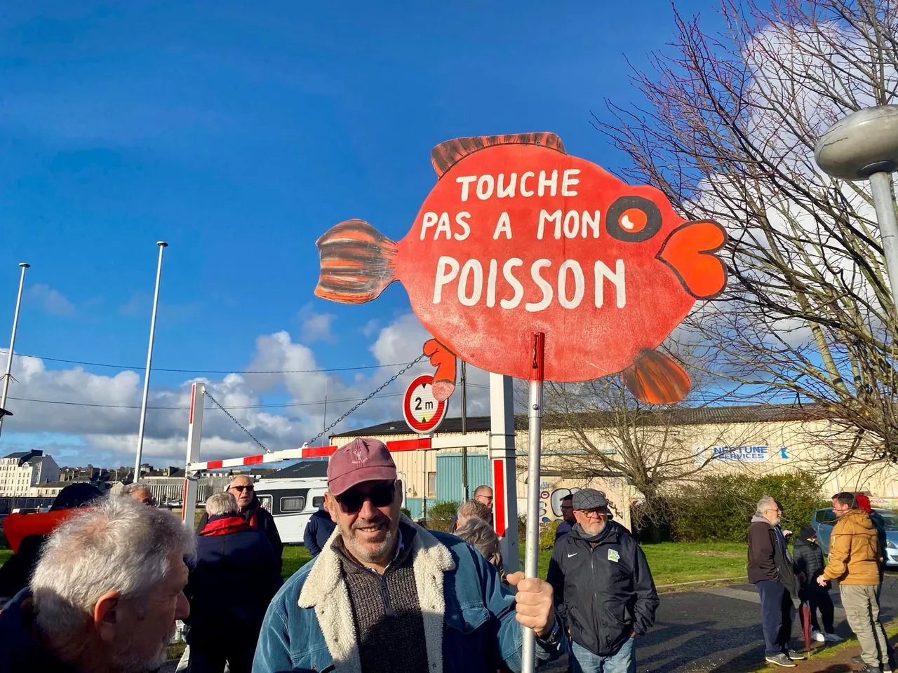 illustration agrandir l'image