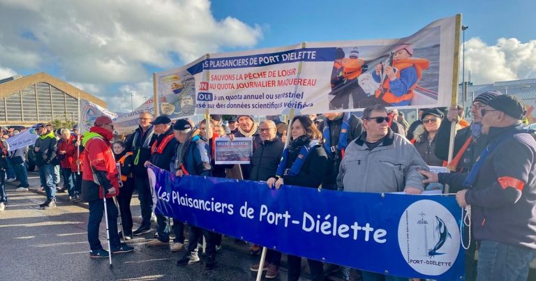 Un millier de pêcheurs normands dans les rues de Cherbourg contre les quotas sur le maquereau pour les plaisanciers - ICI