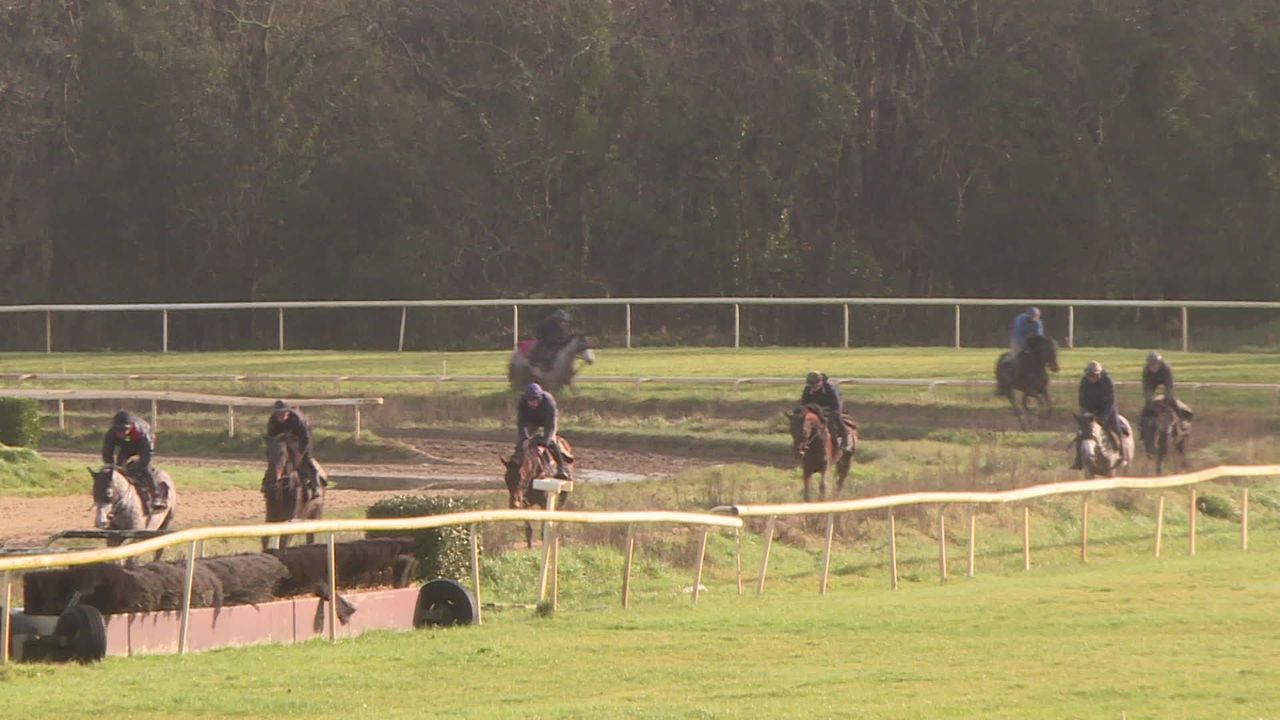 illustration agrandir l'image