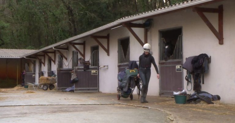 VIDÉO - "En deux mois", ces apprentis deviennent les premiers cavaliers d’entraînement formés sur le territoire - ICI