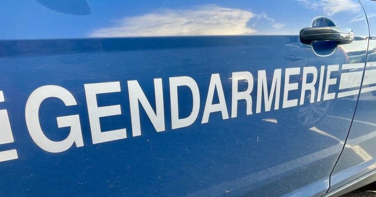 Une famille d'accueil landaise soupçonnée de maltraitance envers une petite fille - ICI