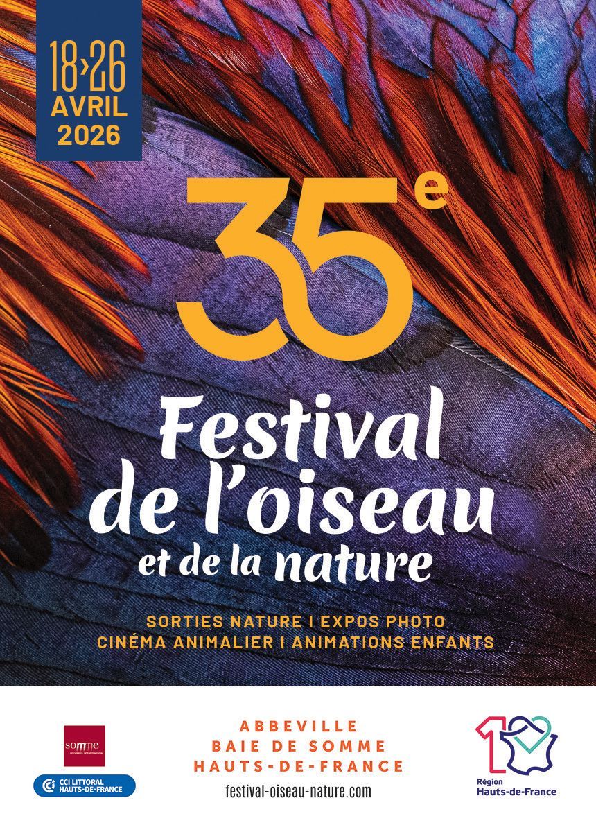 illustration agrandir l'image