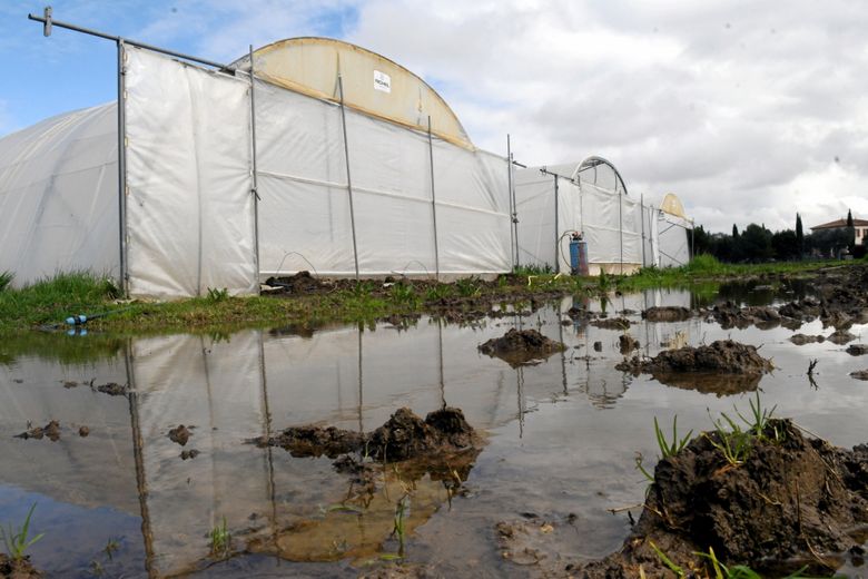 Le Mas Alexandrine, exploitation de 25 hectares de maraîchages cultivés en bio, affronte depuis des mois les caprices de la météo.