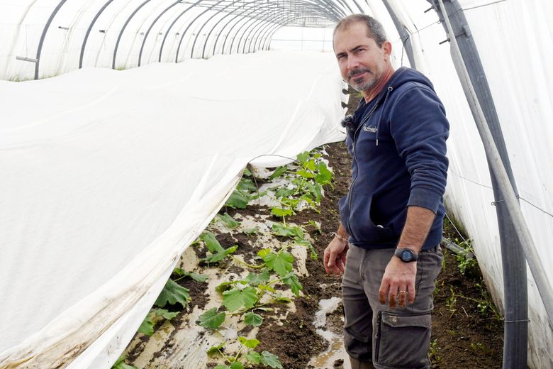 Au Mas Alexandrine, à Saint-Nazaire-de-Pézan, Philippe Debattista affronte une situation météo inédite.