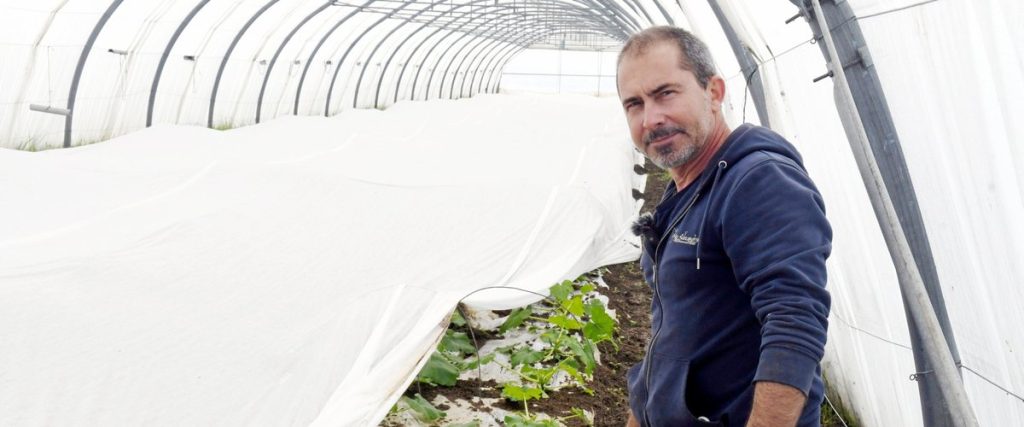 Météo exceptionnelle dans l'Hérault : les maraîchers confrontés à une situation sans précédent