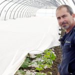 Météo exceptionnelle dans l'Hérault : les maraîchers confrontés à une situation sans précédent