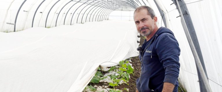 Météo exceptionnelle dans l'Hérault : les maraîchers confrontés à une situation sans précédent