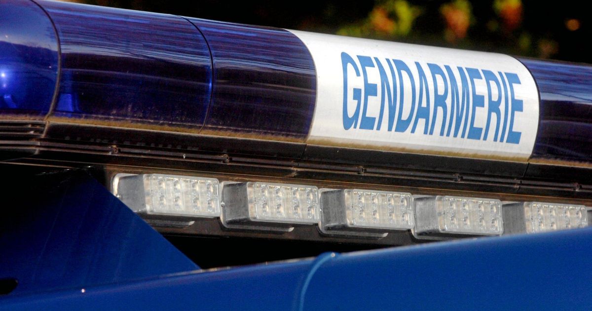 Côte-d'Or : sept interpellations suite à un guet-apens lié à un trafic de drogue