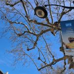 Paris-Nice : Les habitants de Barbentane se réjouissent du passage de la course dans leur commune