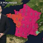 Bulletin pollens et allergies pour samedi 21 mars - Actualités La Chaîne Météo