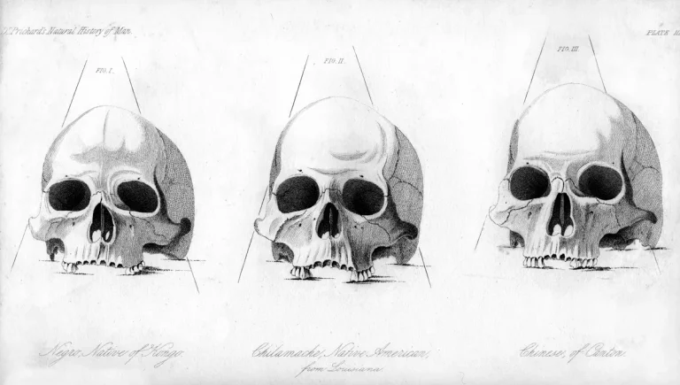 La science et son rôle dans la construction du racisme à travers l'histoire