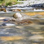 La société Locacil à Feldkirch est poursuivie pour écocide après la pollution aux métaux lourds d'un cours d'eau - ICI