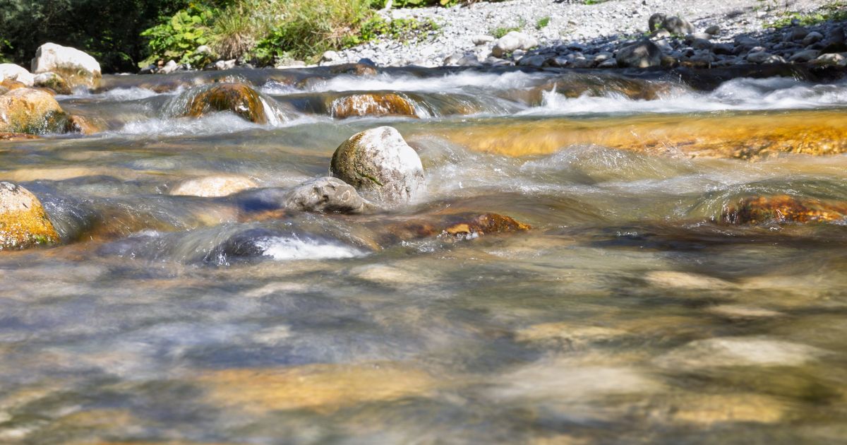Locacil à Feldkirch poursuivie pour écocide suite à la pollution aux métaux lourds d'un cours d'eau