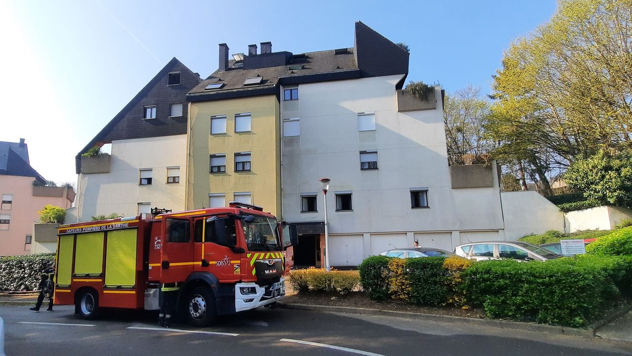 illustration agrandir l'image