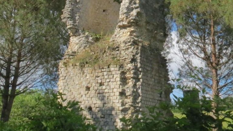 Découverte archéologique significative à Saint-Pierre de Buzet
