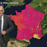 Bulletin pollinique France lundi : retour du soleil et hausse des pollens de bouleau et frêne