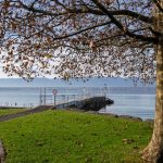 Genève affirme que le Léman est un bien public et rejette l'accès payant aux plages