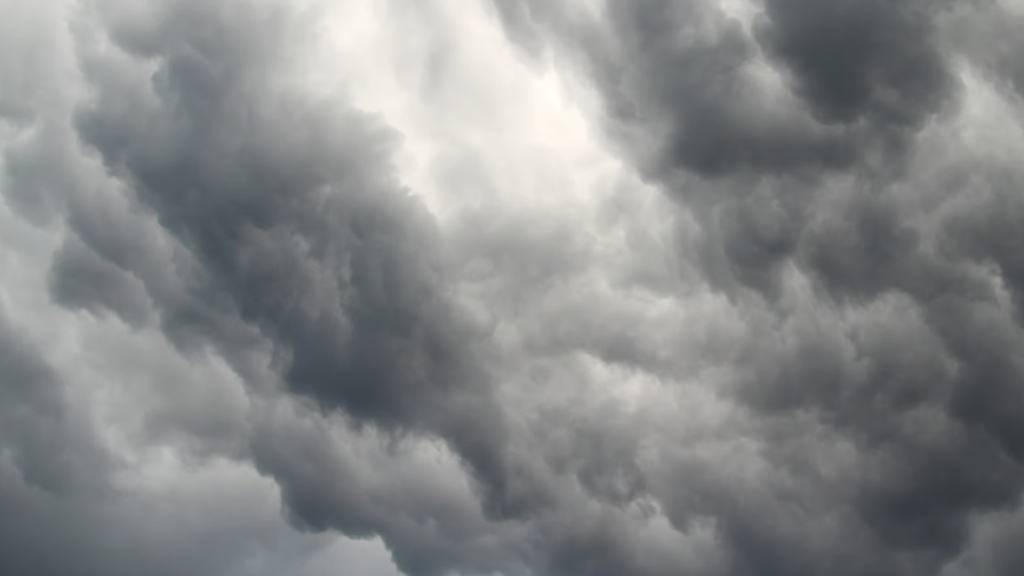 Vague de froid en France : températures jusqu'à -10 °C, point sur les prévisions