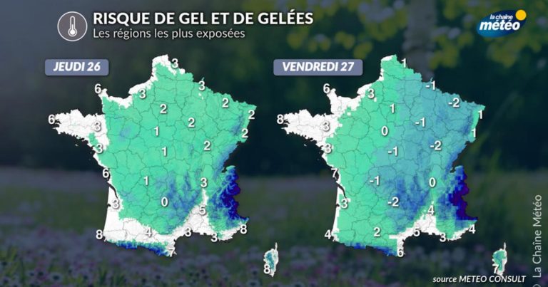 Arboriculture : risque modéré de gel de printemps cette semaine - La Chaîne Météo