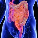 Maladie de Crohn : une signature virale dans le sang révèle de nouvelles pistes de diagnostic