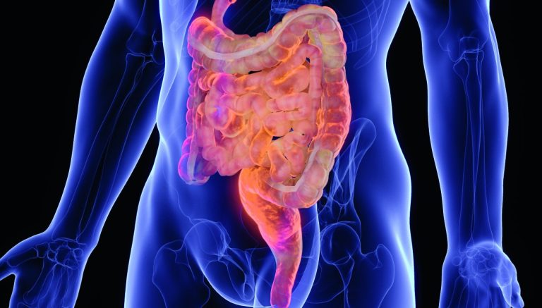 Maladie de Crohn : une signature virale dans le sang révèle de nouvelles pistes de diagnostic