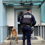 Trafic de stupéfiants : trois interpellations dans le quartier de la Gauthière à Clermont-Ferrand