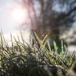 Températures en baisse : jusqu'à 7 °C de moins cette semaine, prévisions pour la région.