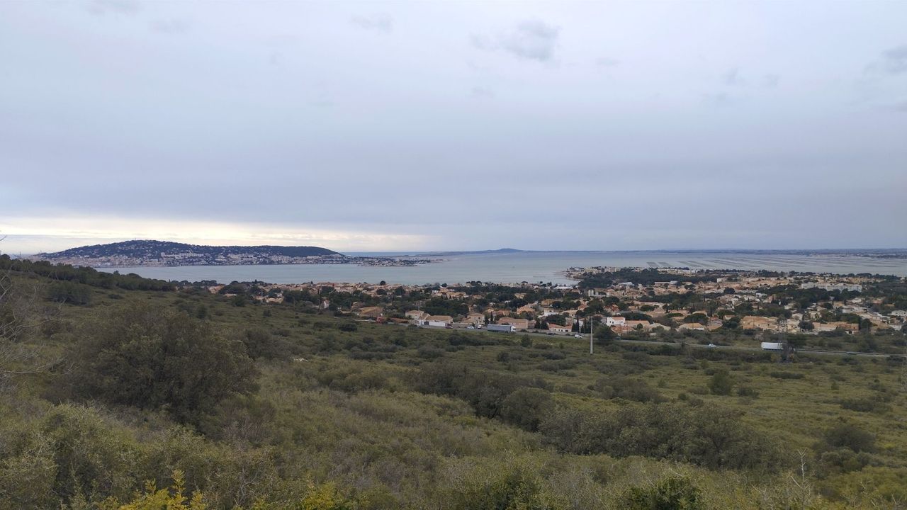 illustration agrandir l'image