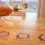 VIDÉO - "Les insectes sont au milieu de tout" : quand un musée ou les réseaux sociaux révèlent leur rôle essentiel - ICI