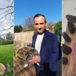 VIDÉO - Un Gardois découvre une morille de 19 centimètres à Arpaillargues