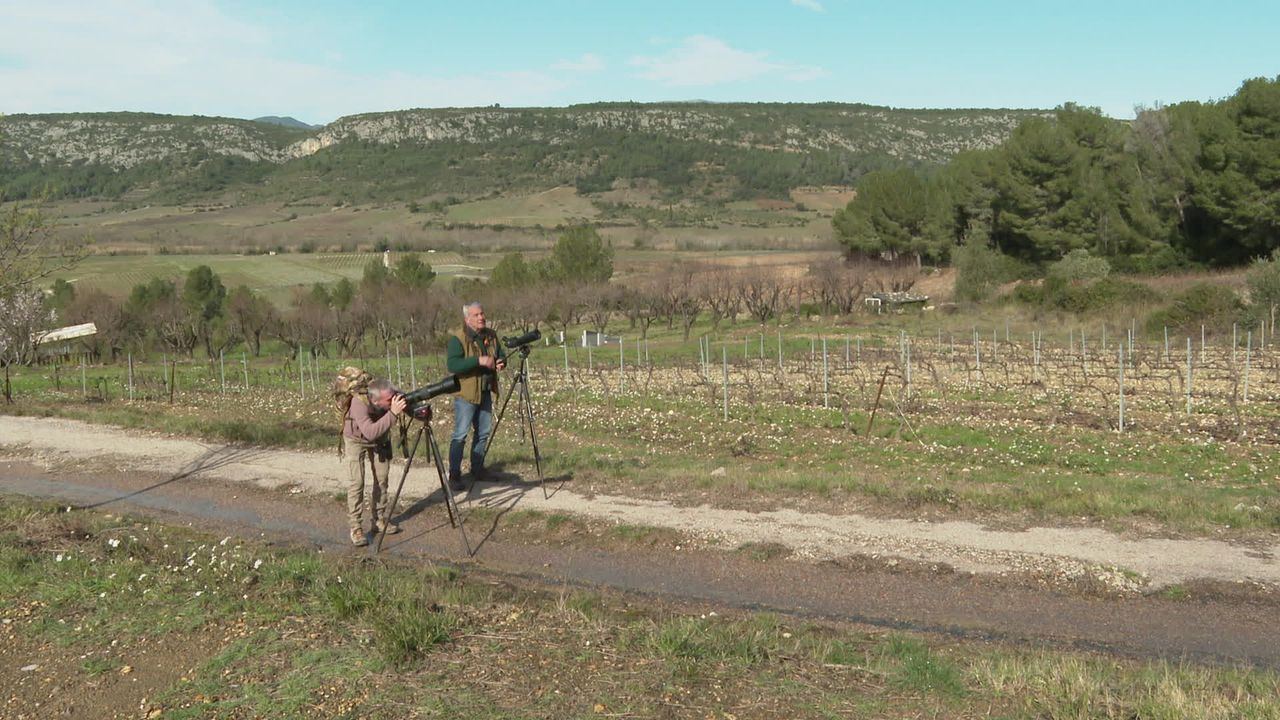 illustration agrandir l'image