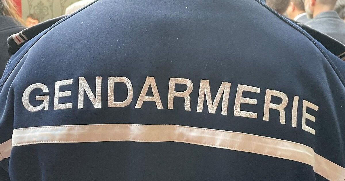 Un automobiliste se rend à la gendarmerie après avoir percuté un cycliste à Picauville