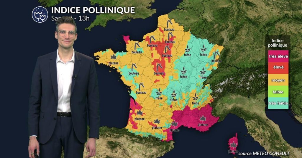 Pollens et allergies : un risque réduit dans plusieurs régions ce samedi - La Chaîne Météo