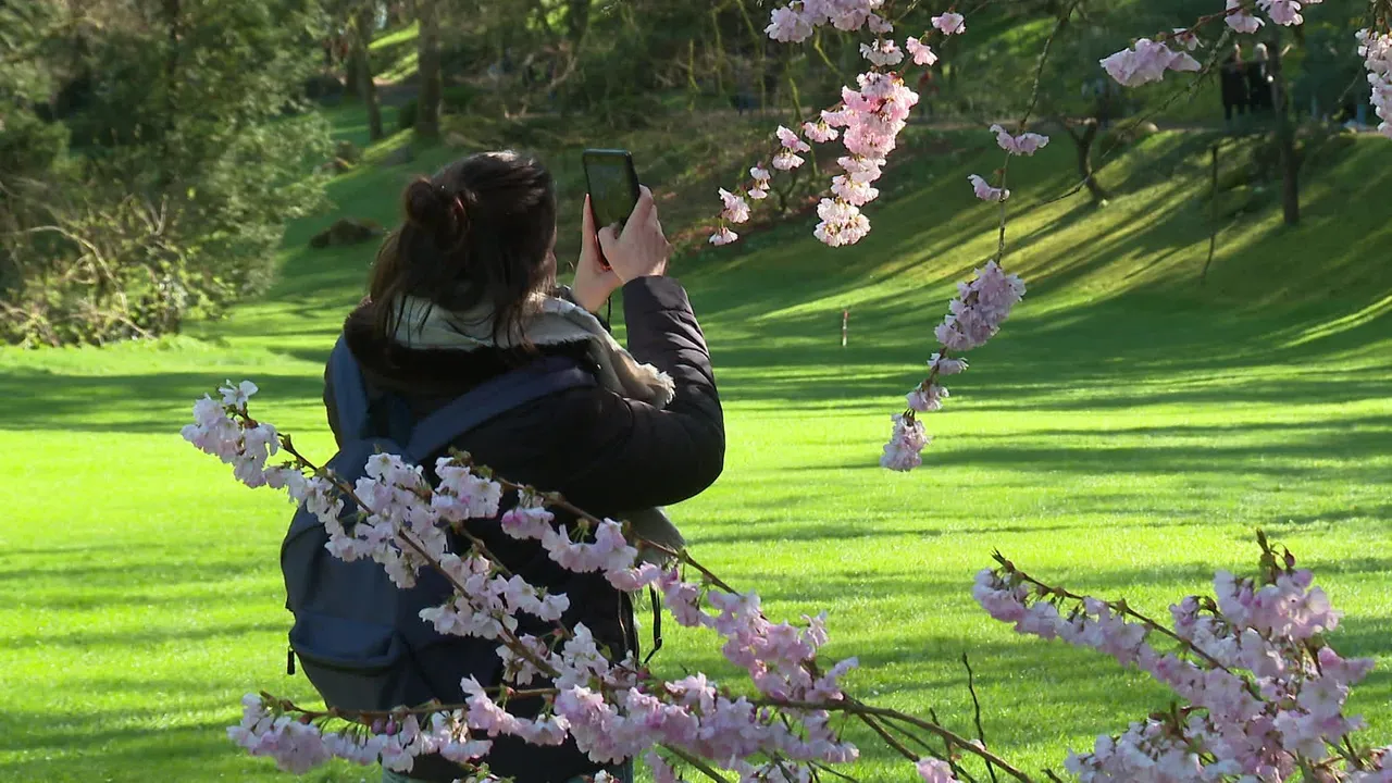 illustration agrandir l'image