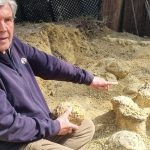 Découverte d'œufs de dinosaures à Mèze : les détails de ce gisement remarquable