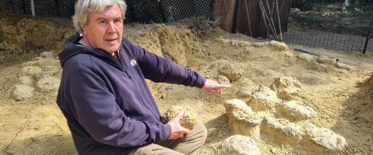 Découverte d'œufs de dinosaures à Mèze : les détails de ce gisement remarquable