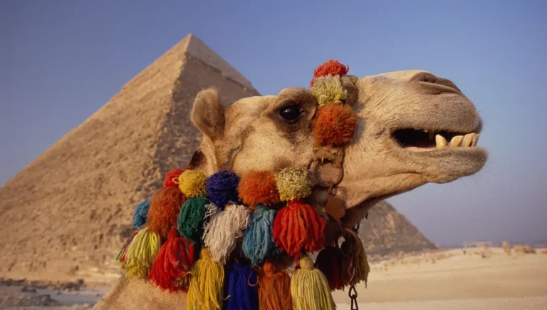 Que faisaient les Égyptiens en cas de perte de dents ?