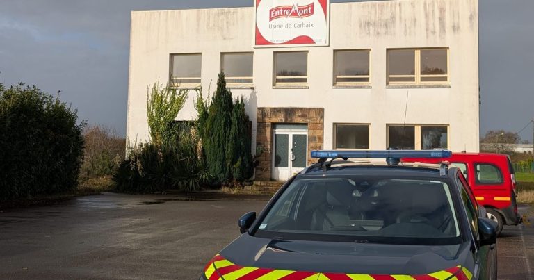 Rave party à Carhaix : des tirs touchent un camion, deux participants saisissent un juge