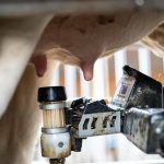 La Suisse alémanique surveille les PFAS dans le lait avant la législation de l'UE